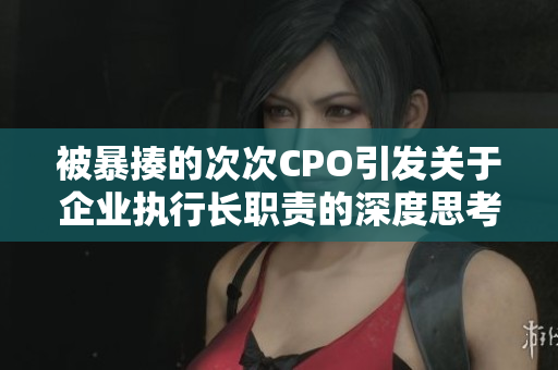 被暴揍的次次CPO引发关于企业执行长职责的深度思考