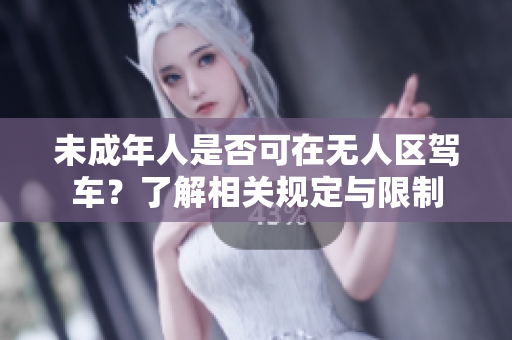 未成年人是否可在无人区驾车？了解相关规定与限制