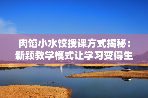肉馅小水饺授课方式揭秘：新颖教学模式让学习变得生动有趣